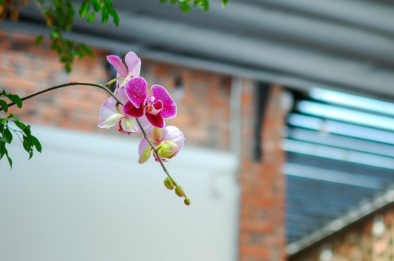 Chi Homestay #4 Хюэ Экстерьер фото